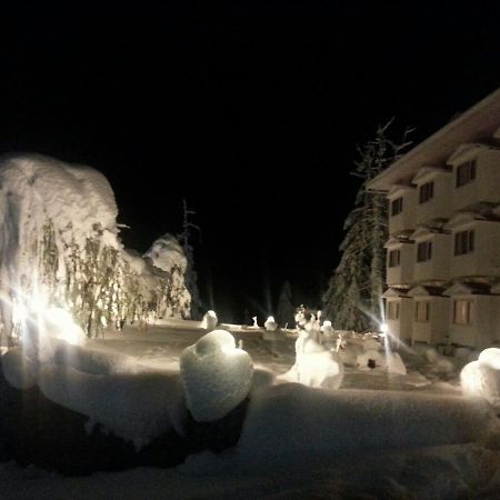 Royal Jardin Whistling Pines Resort Shimla Luaran gambar