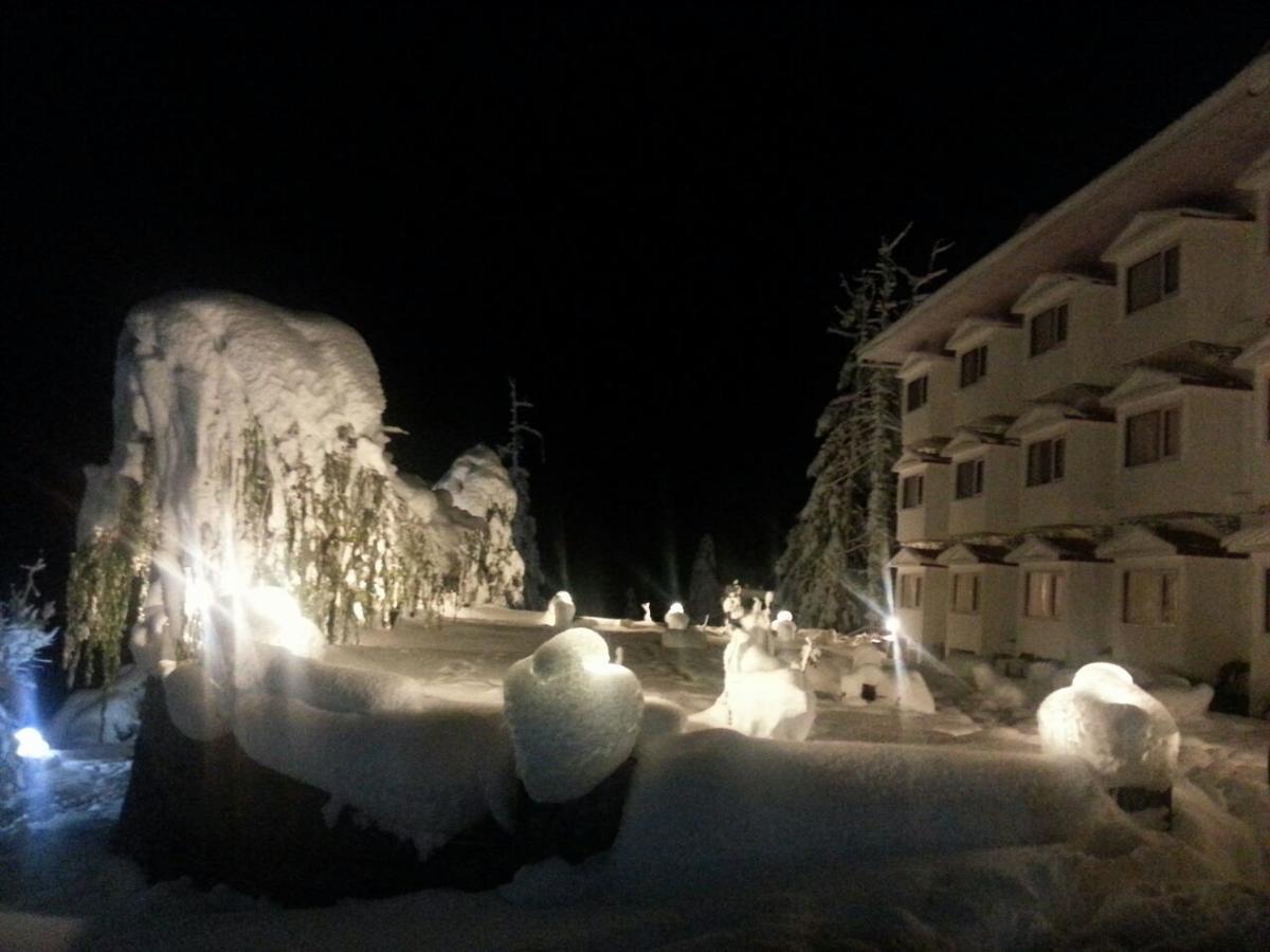 Royal Jardin Whistling Pines Resort Shimla Luaran gambar