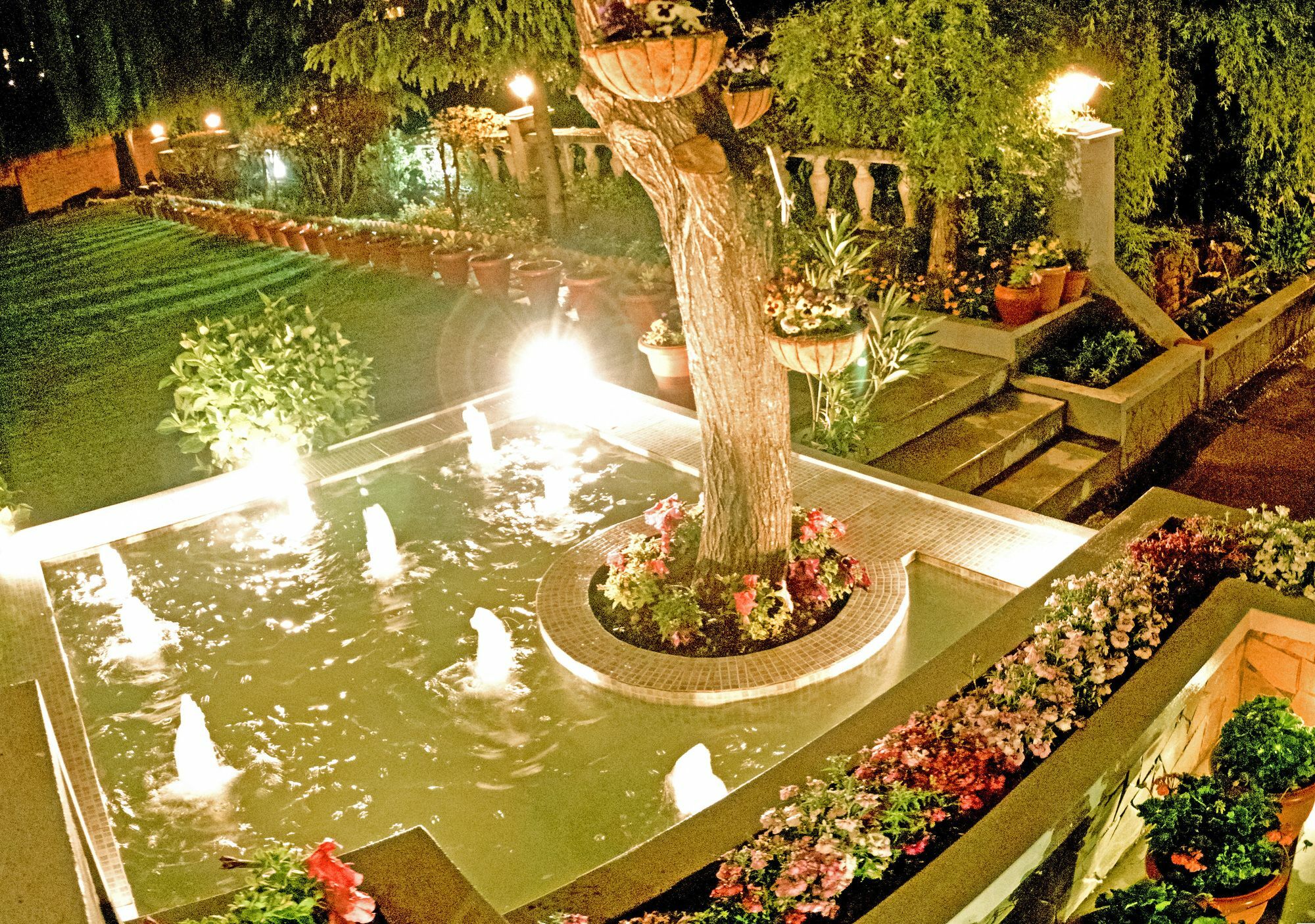 Royal Jardin Whistling Pines Resort Shimla Luaran gambar